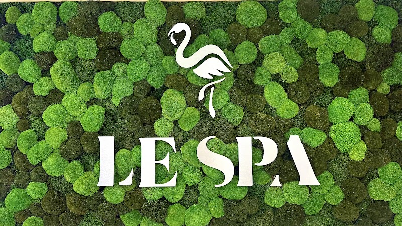 Le Spa Plastic Surgery logo