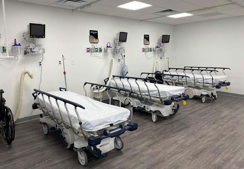 Spring Plastic Surgery logo