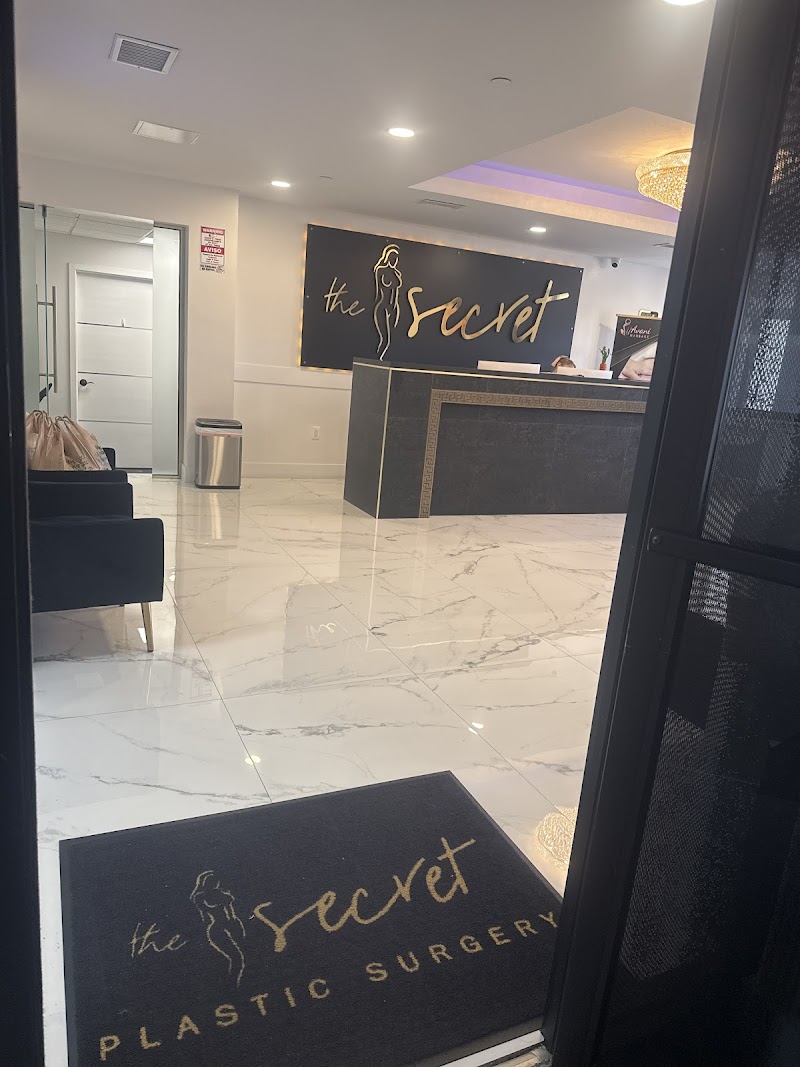 The Secret Plastic Surgery logo
