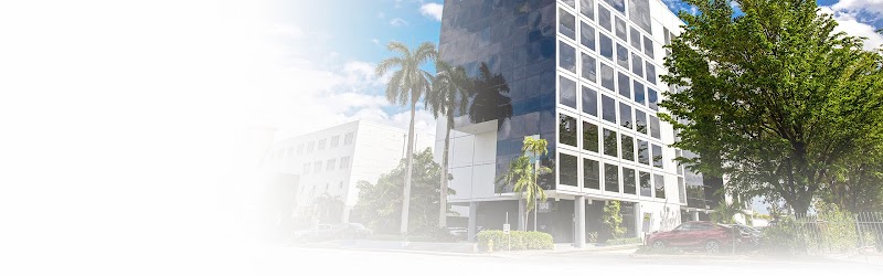 Vixen Plastic Surgery logo